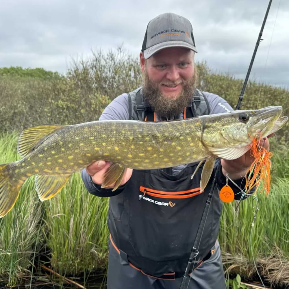 SAVAGE GEAR Da Bush 21g Sinking