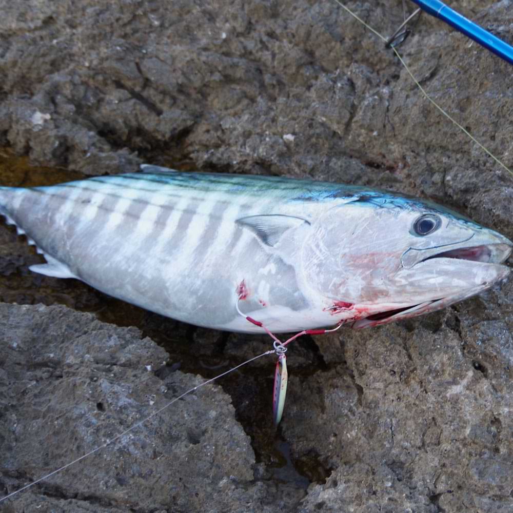 SAVAGE GEAR Bloody Assist Hook Sj Double