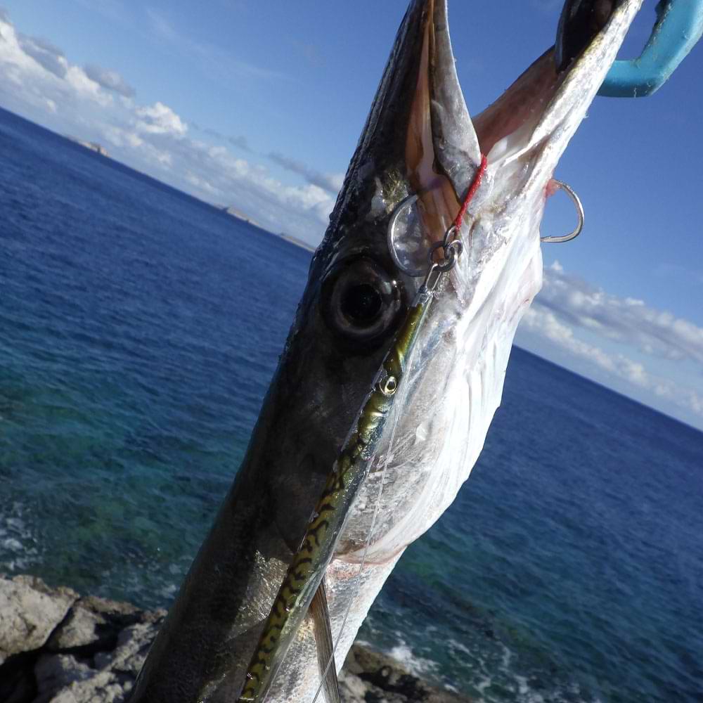 SAVAGE GEAR Bloody Assist Hook Sj Double