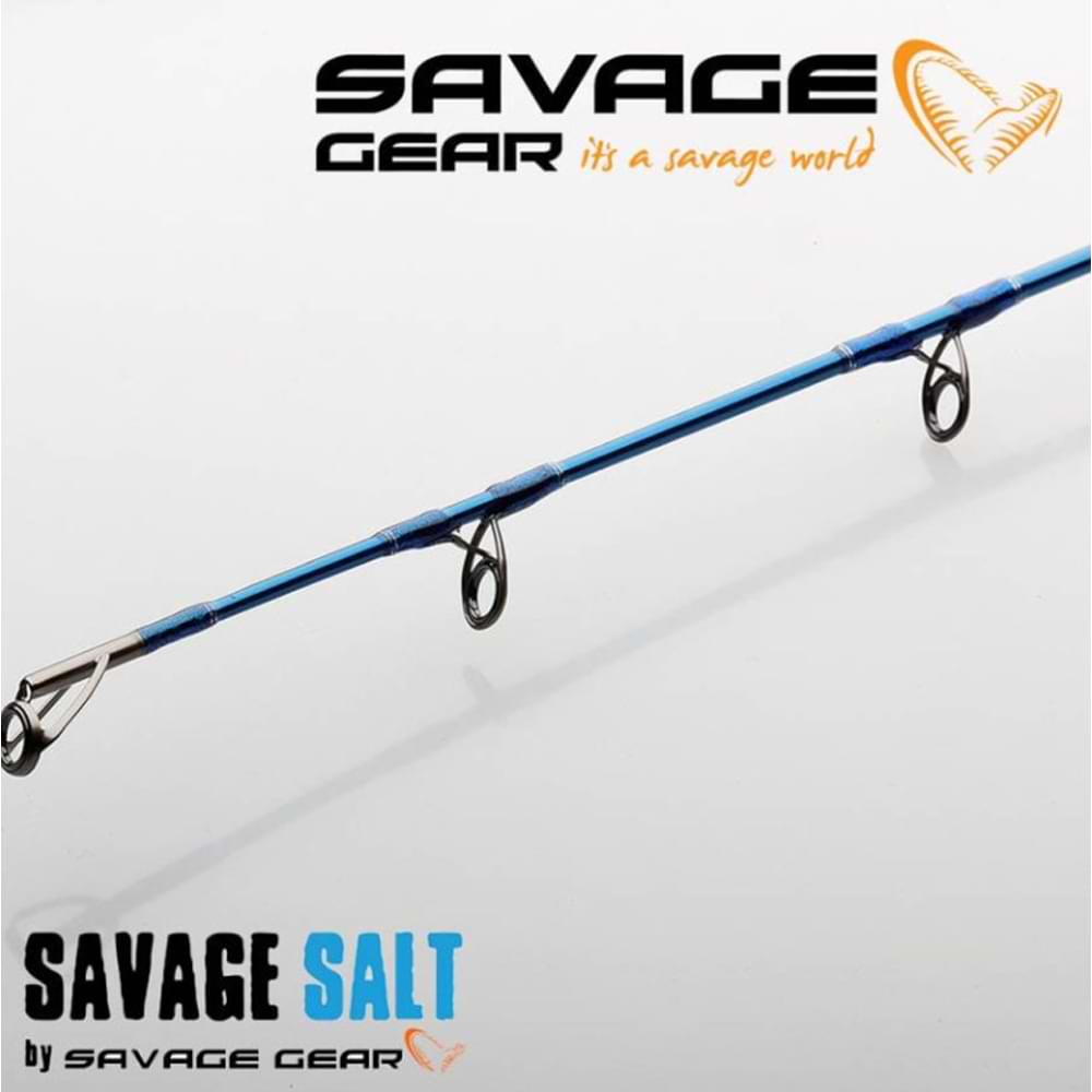 SAVAGE GEAR SGS2 Shore Jigging 3.05m MF 30-100g MH