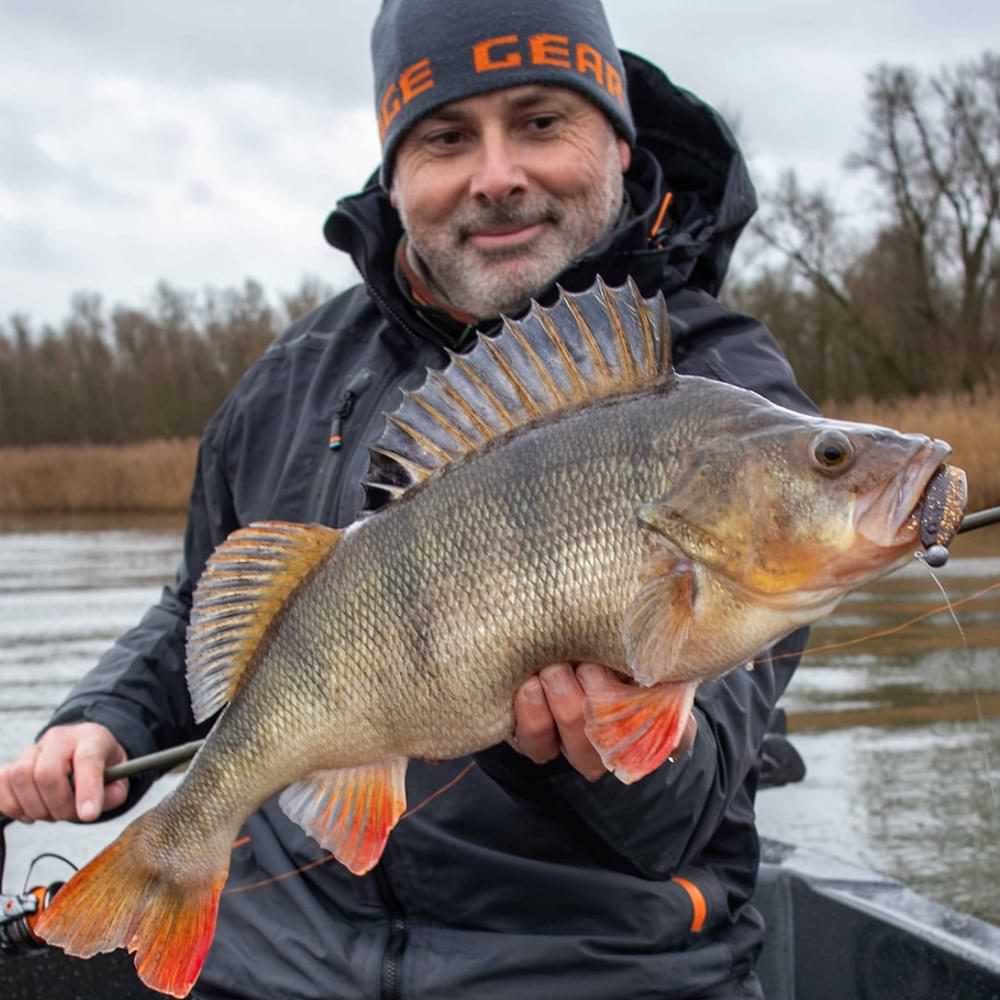 SAVAGE GEAR Cannibal Shad 6.8cm 3g+5g #1/0 Clearwater Mix 4+4pcs