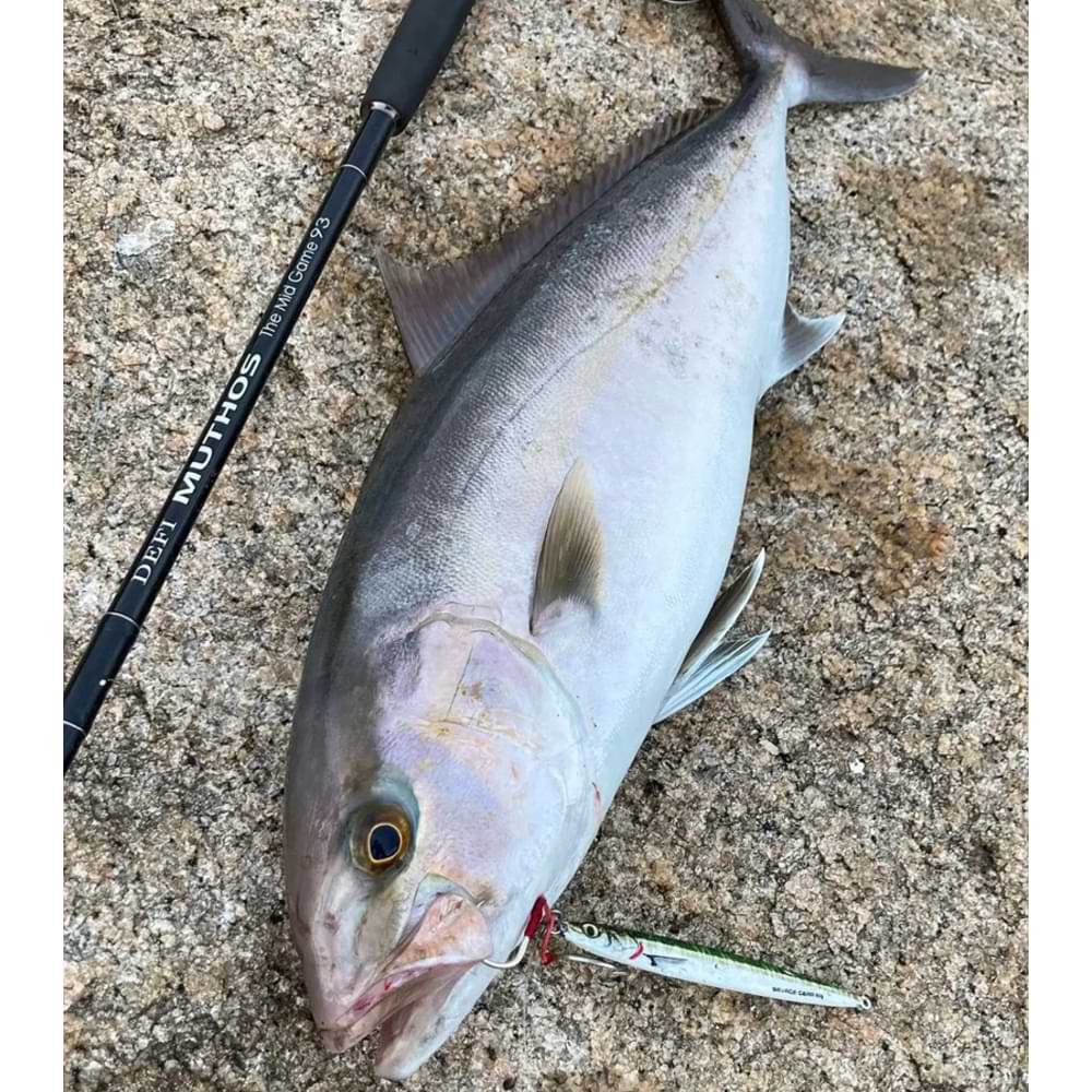 SAVAGE GEAR 3D Slim Jig Minnow 10cm 40g Fast Sinking