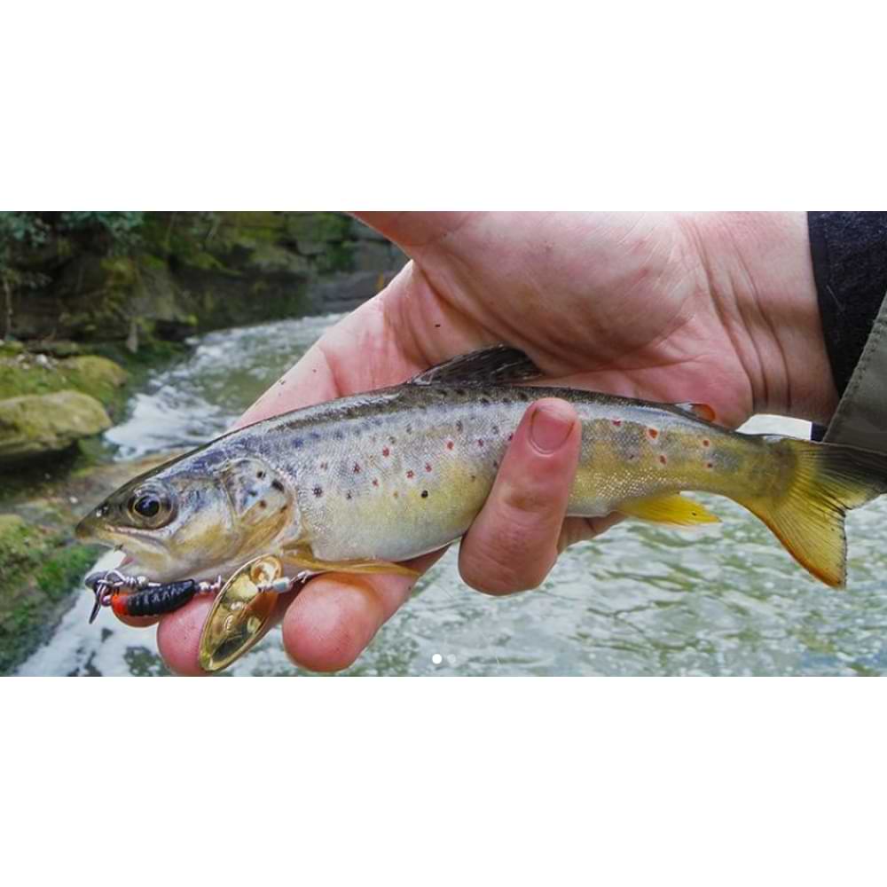 SAVAGE GEAR Grub Spinner #0 2.2g Sinking