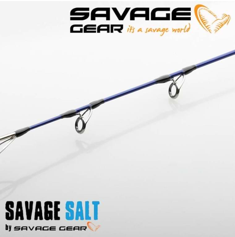 SAVAGE GEAR SGS6 Shore Jigging 3.05m MF 70-180g HH