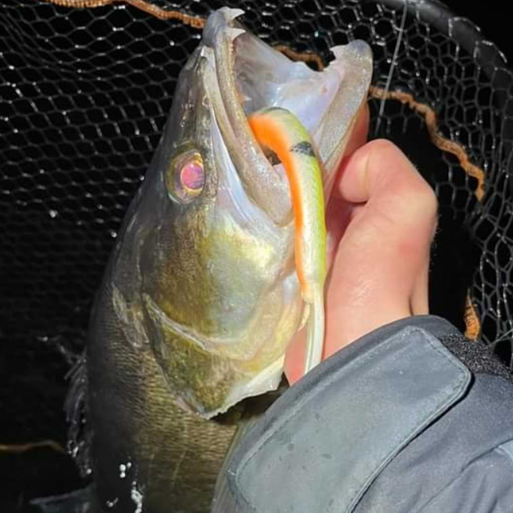 SAVAGE GEAR Monster Slug 20cm 33g 2pcs