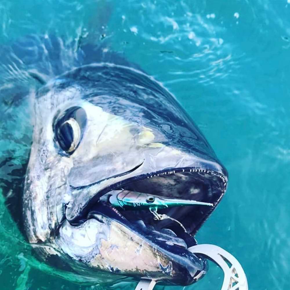 SAVAGE GEAR 3D Needlefish Pulsetail 14cm 12g Sinking