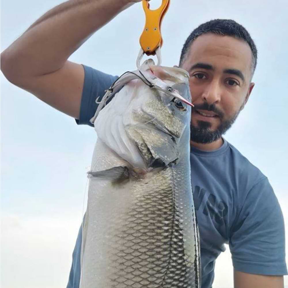 SAVAGE GEAR 3D Needlefish Pulsetail 14cm 12g Sinking