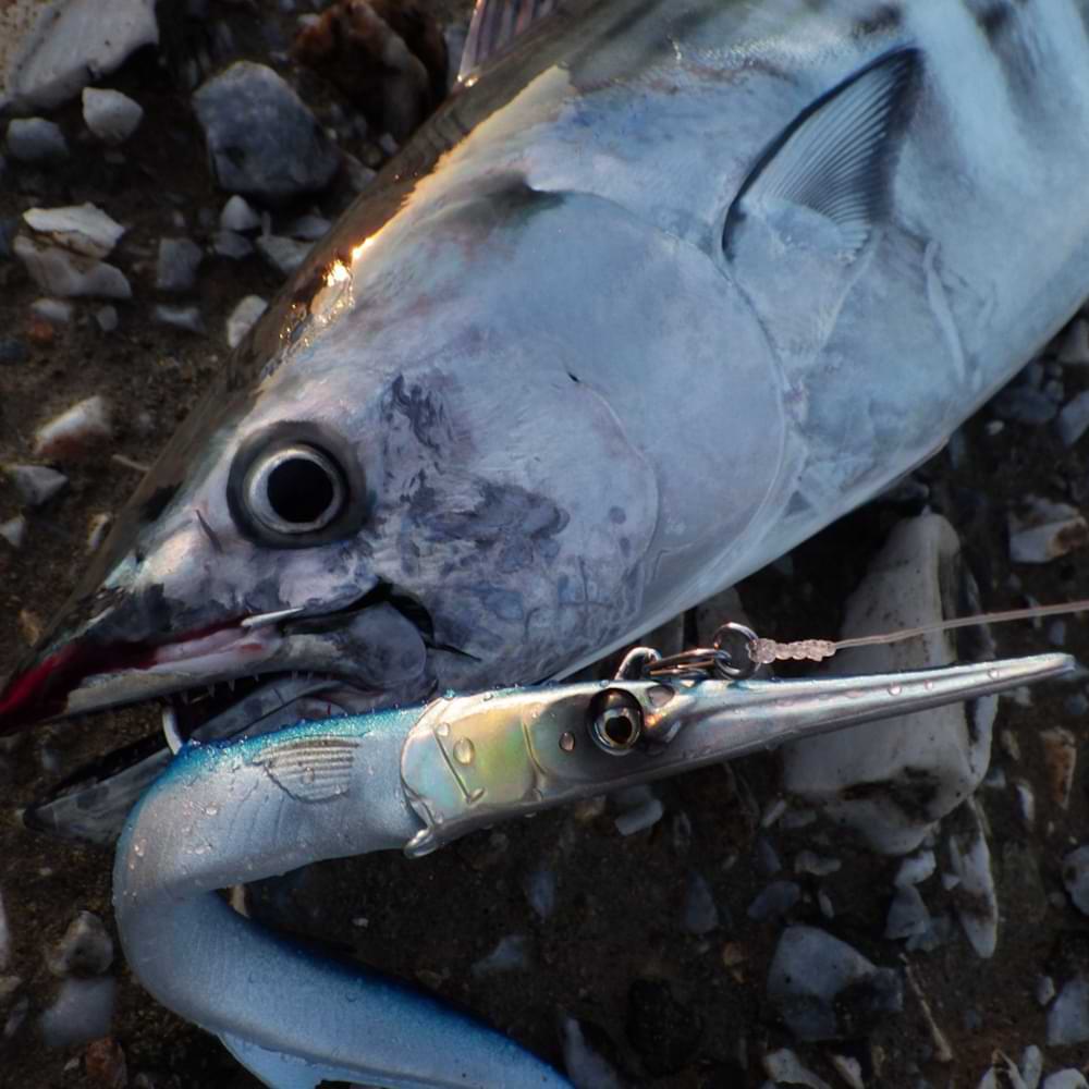 SAVAGE GEAR 3D Needlefish Pulsetail 14cm 12g Sinking