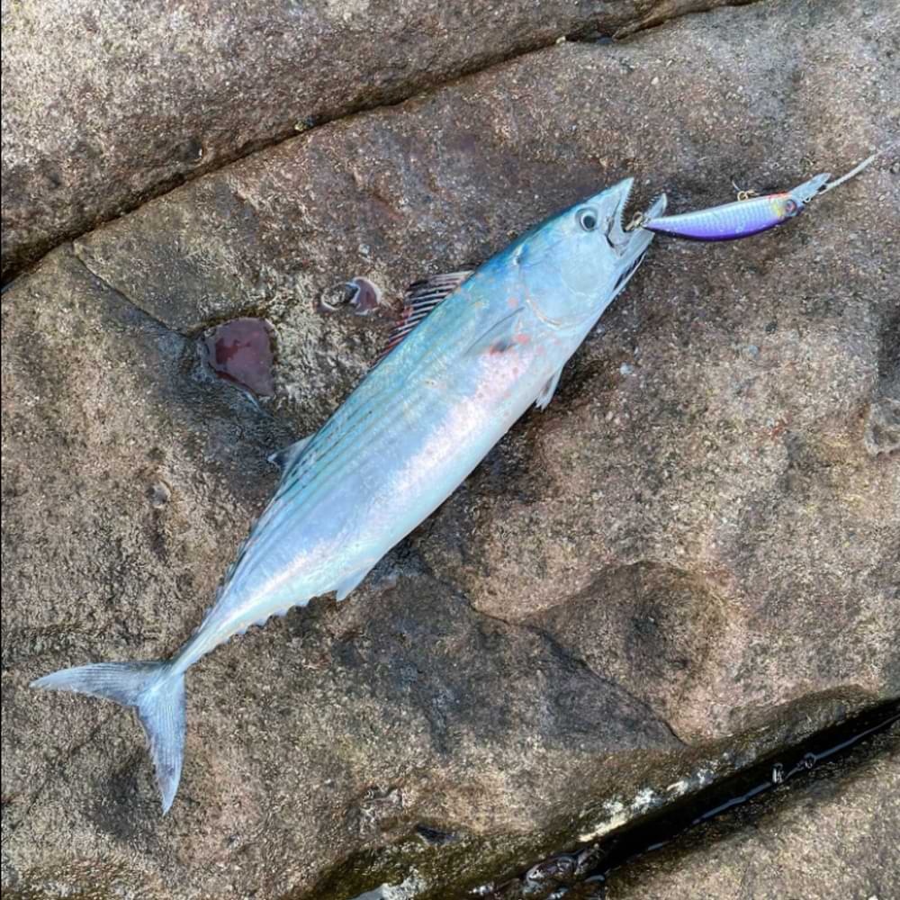 SAVAGE GEAR Gravity Runner 10cm 37g Fast Sinking