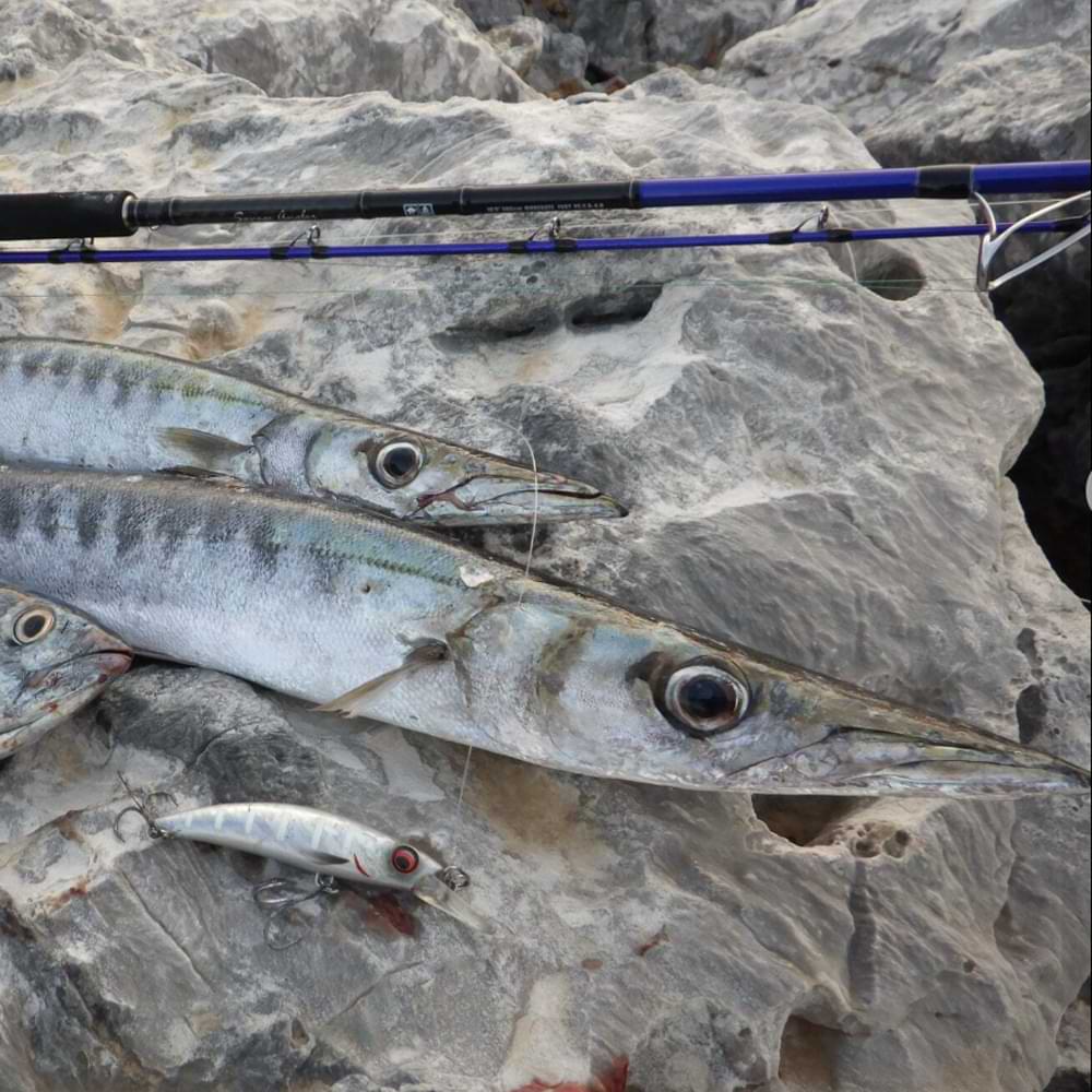 SAVAGE GEAR Gravity Runner 10cm 37g Fast Sinking