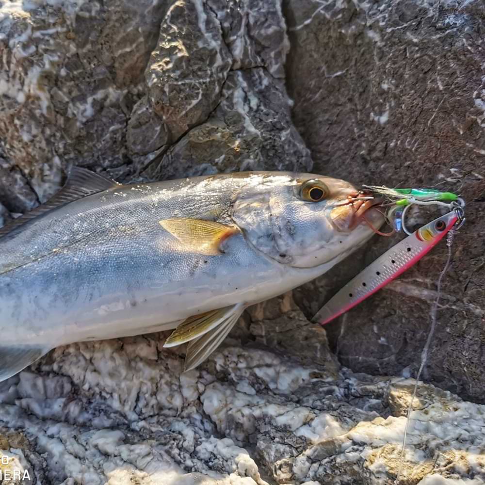 SAVAGE GEAR Sardine Slider 14.5cm 80g Fast Sinking