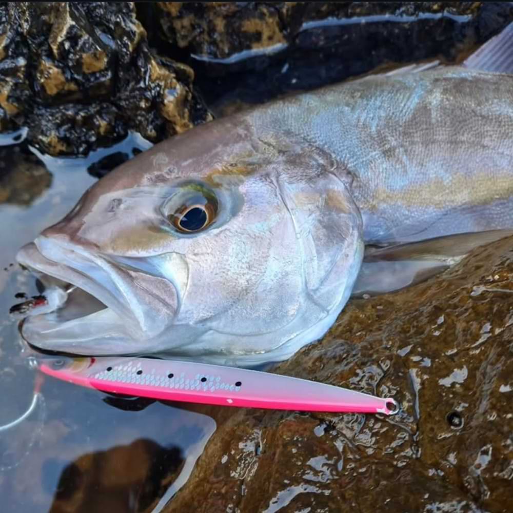 SAVAGE GEAR Sardine Slider 16.5cm 120g Fast Sinking