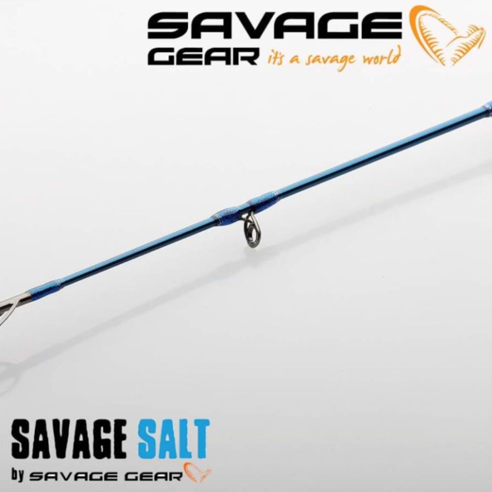 SAVAGE GEAR SGS2 Jerkbait 222cm F 10-35g M