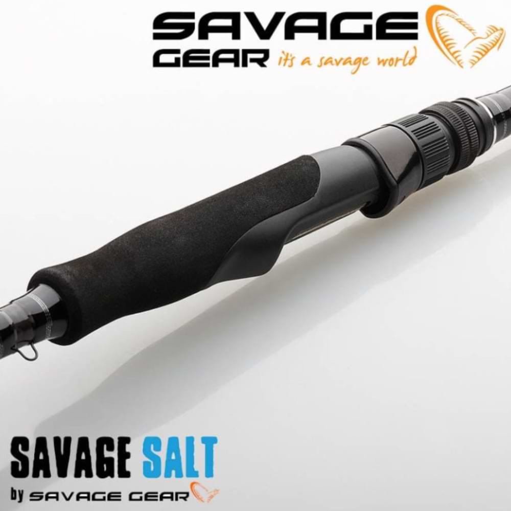 SAVAGE GEAR SGS2 Jerkbait 222cm F 10-35g M