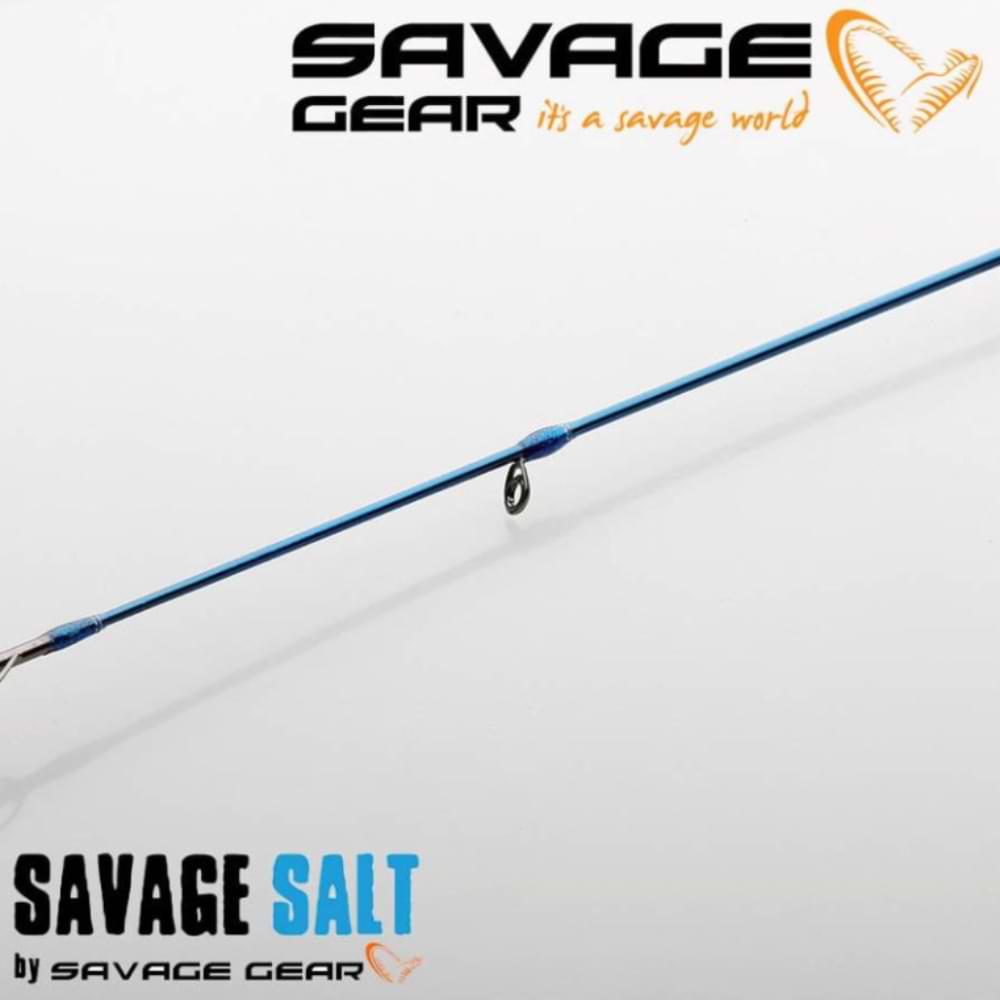 SAVAGE GEAR SGS2 All-Around 251cm F 20-60g H
