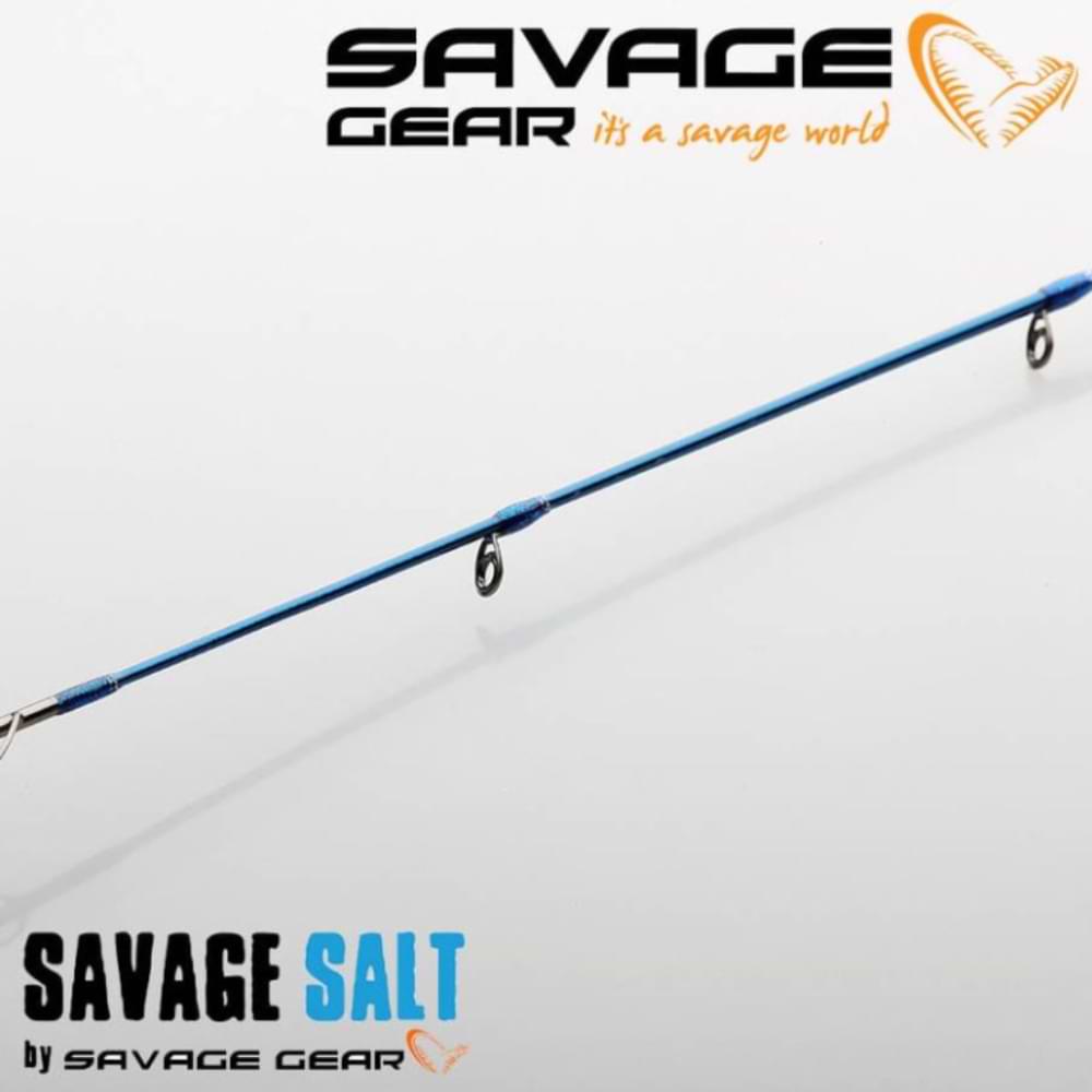 SAVAGE GEAR SGS2 Long Casting 290cm F 30-70g H