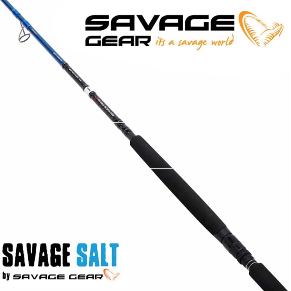 SAVAGE GEAR SGS2 Offshore Plug 250cm 20-60g Fast