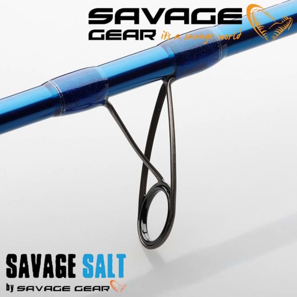 SAVAGE GEAR SGS2 Offshore Plug 250cm 20-60g Fast