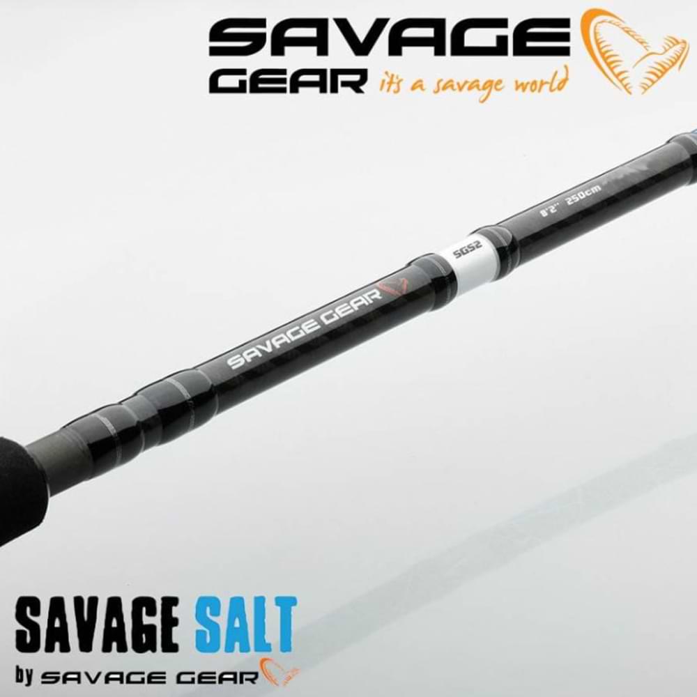 SAVAGE GEAR SGS2 Offshore Plug 250cm 20-60g Fast