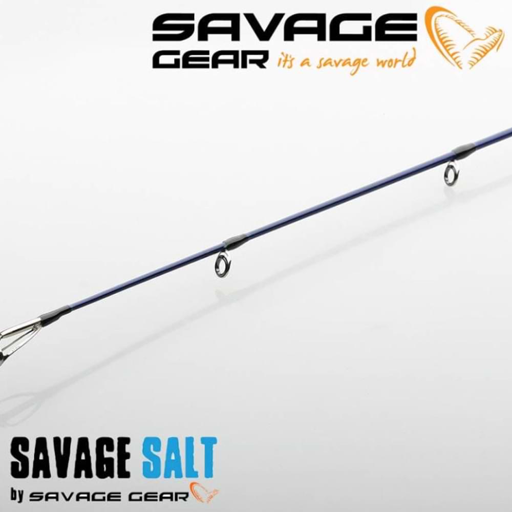 SAVAGE GEAR SGS6 Long Casting 290cm MF 30-70g H