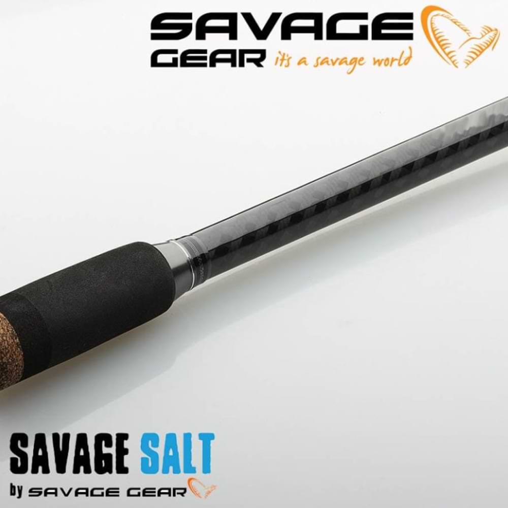 SAVAGE GEAR SGS6 Long Casting 290cm MF 30-70g H