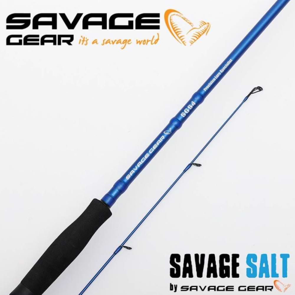 SAVAGE GEAR SGS4 Precision Lure Specialist 290cm 10-45g Fast