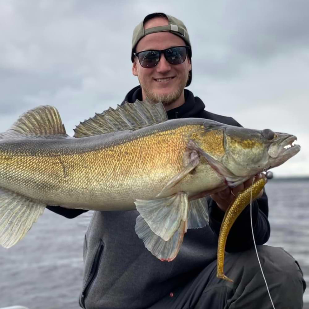 SAVAGE GEAR Monster Shad 18cm 33g 2pcs