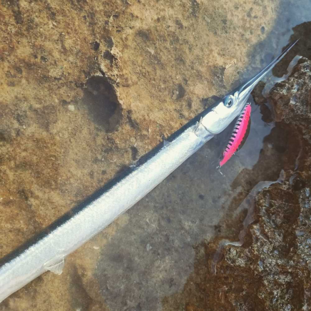 SAVAGE GEAR Gravity Minnow 5cm 4.3g Sinking
