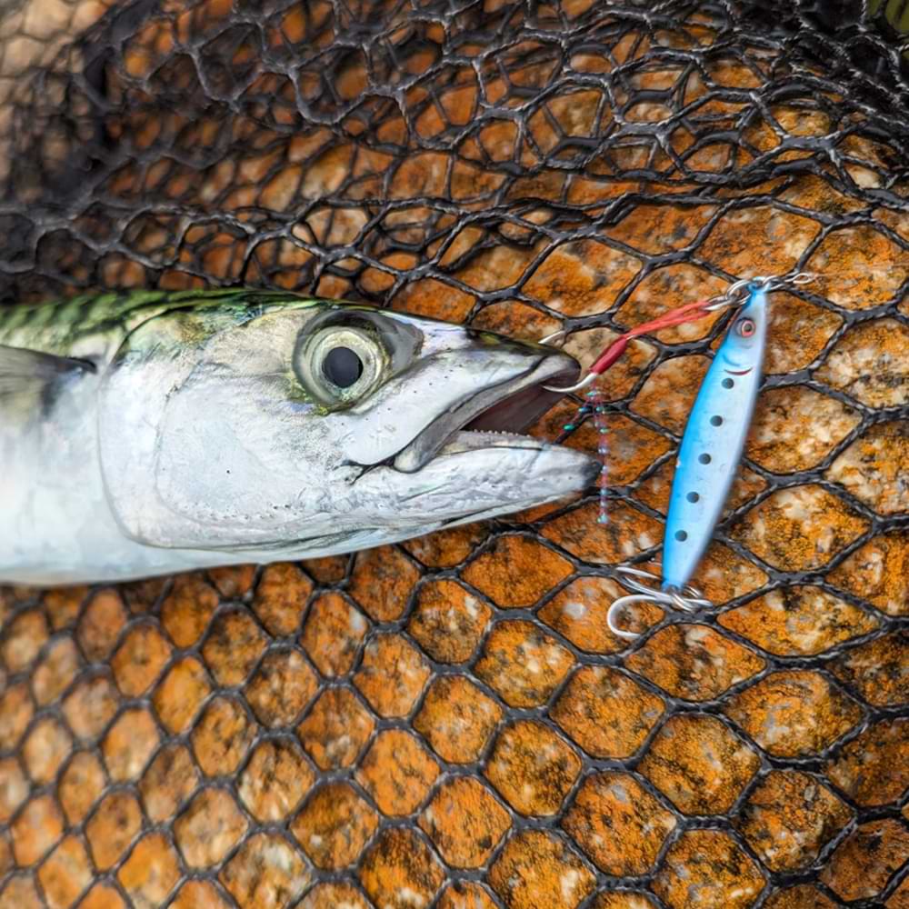 SAVAGE GEAR Flatline TG 4cm 12g