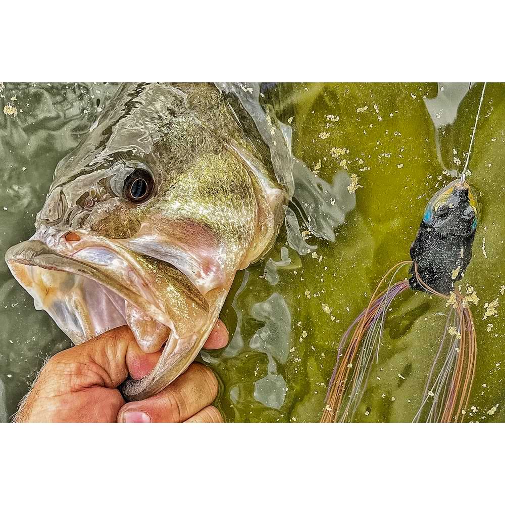 SAVAGE GEAR Hop Walker Frog 5.5cm 15g Floating