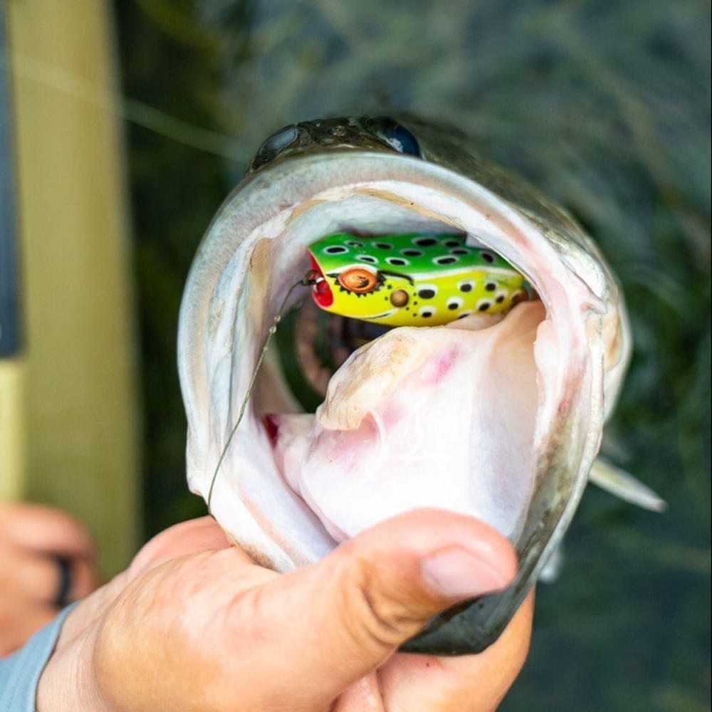 SAVAGE GEAR Hop Popper Frog 5.5cm 15g Floating