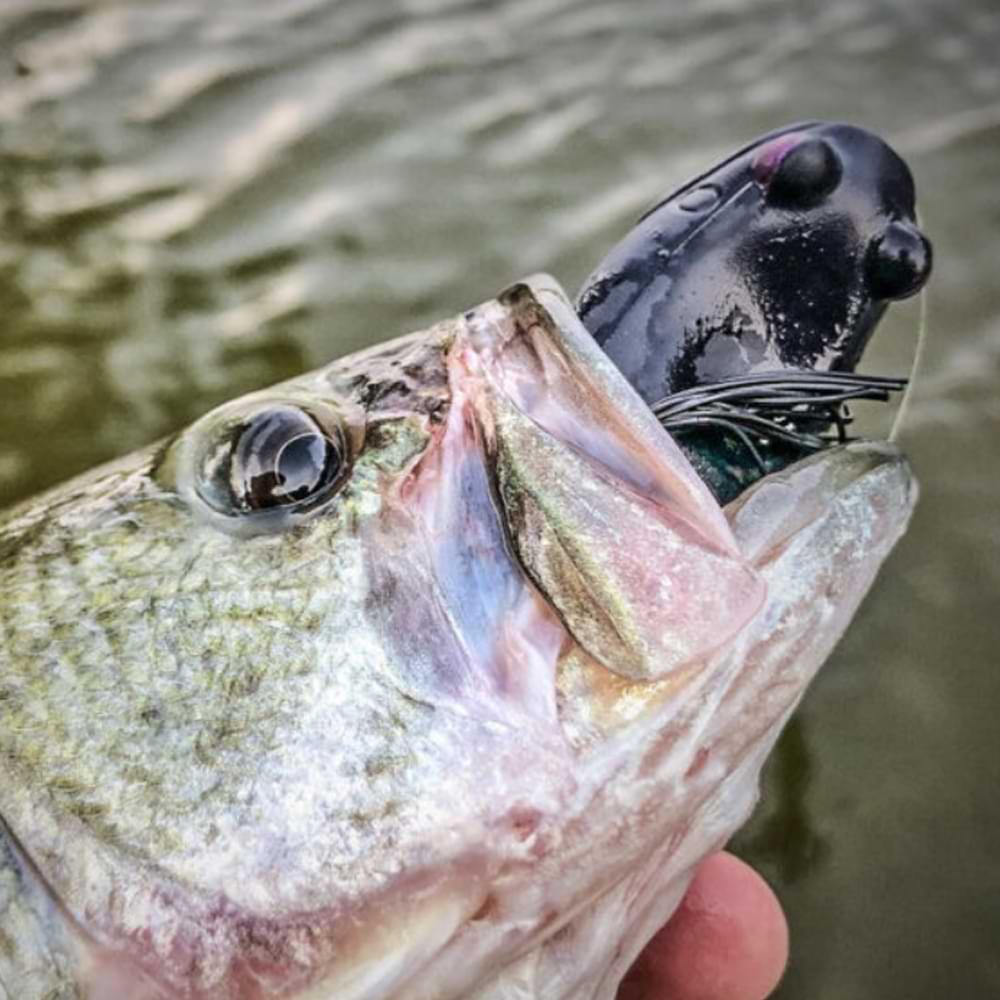 SAVAGE GEAR Hop Popper Frog 5.5cm 15g Floating