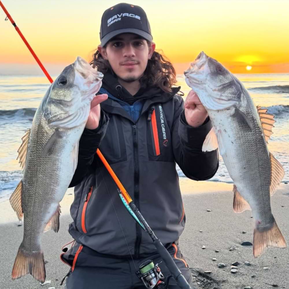 SAVAGE GEAR Sea Bass Minnow 14cm 21.7g Sinking