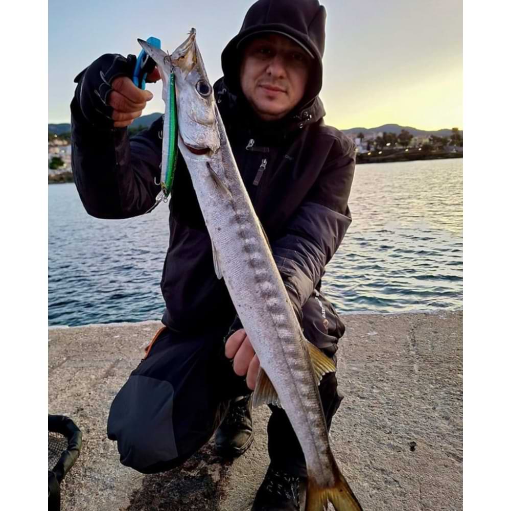 SAVAGE GEAR Sea Bass Minnow 14cm 21.7g Sinking