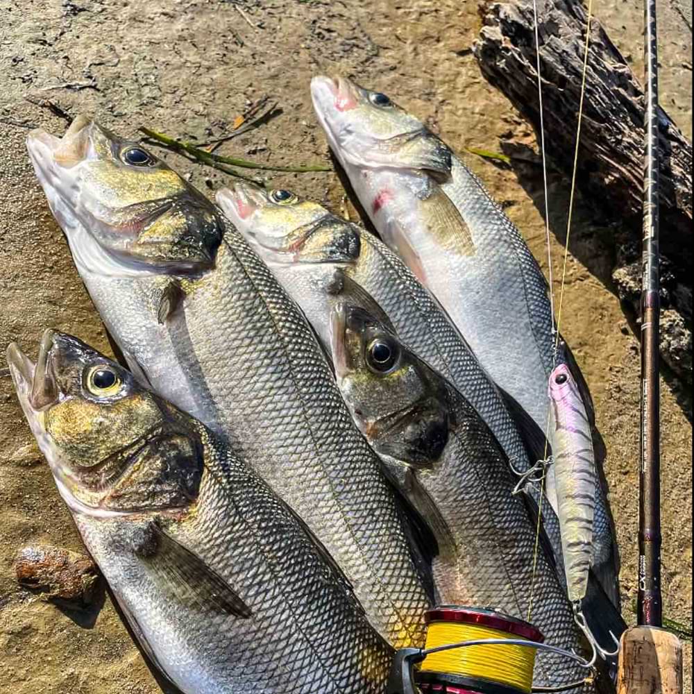 SEA BUZZ Panic Tail 95F Shrimp 8.5g