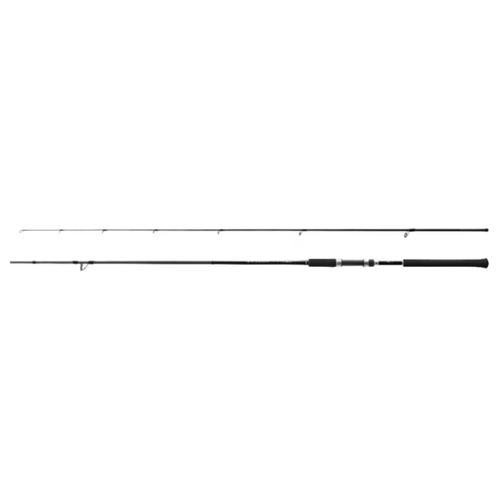 SHIMANO Salty Advance Shore Jigging 100MH 305cm 60-80g