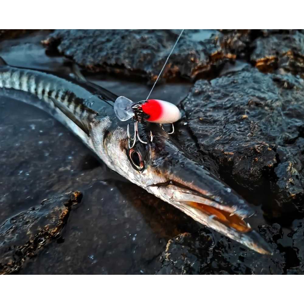 SHIMANO Exsence Silent Assassin 99SP Jet Boost 99mm 15g Suspending