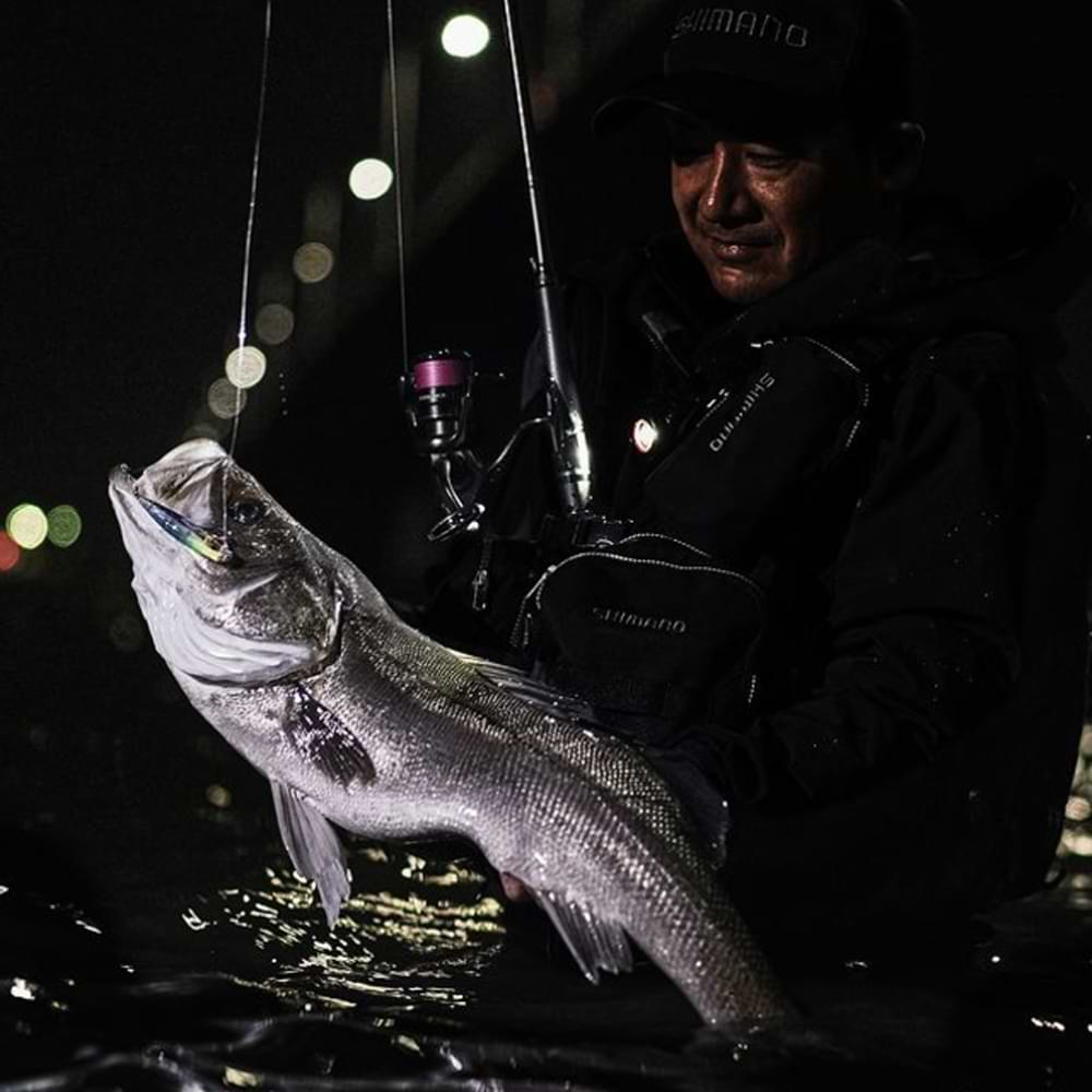 ЅНІМАNО Exsence Infinity S96M 290cm 6-40g