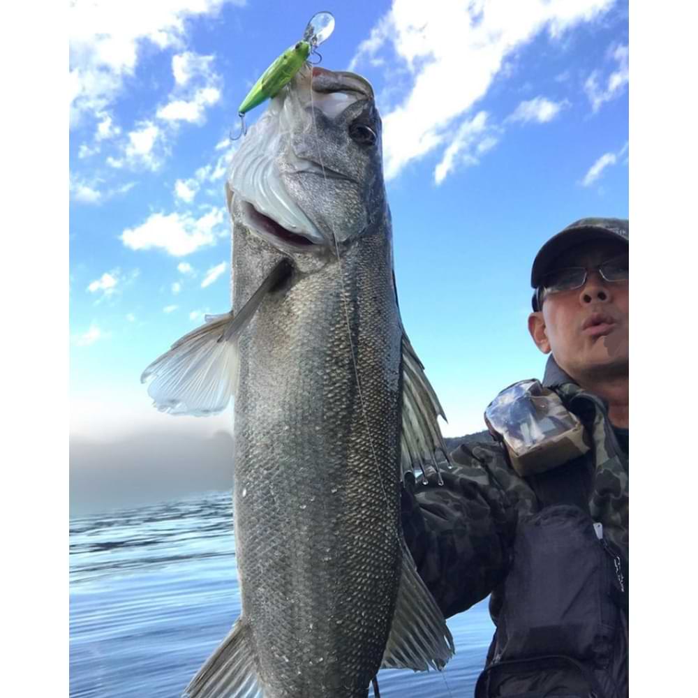 SHIMANO Naluca Exsence Dive Assassin 125S FB 125mm 28g Sinking