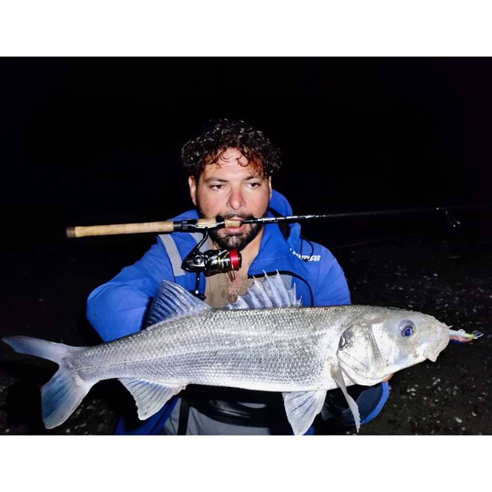 SHIMANO Cardiff ML Bullet 93F AR-C 93mm 10g Floating