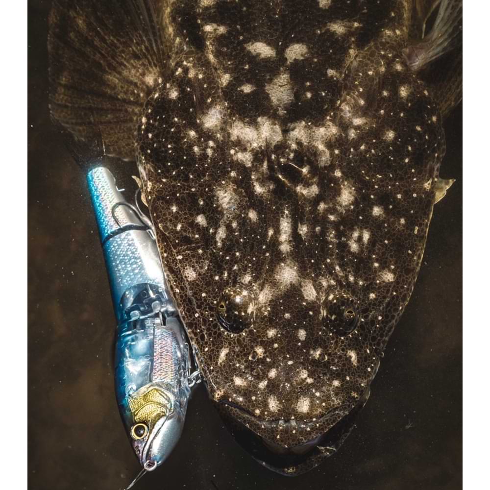 SHIMANO Bantam Armajoint 190SF FB 190mm 53g Slow Floating