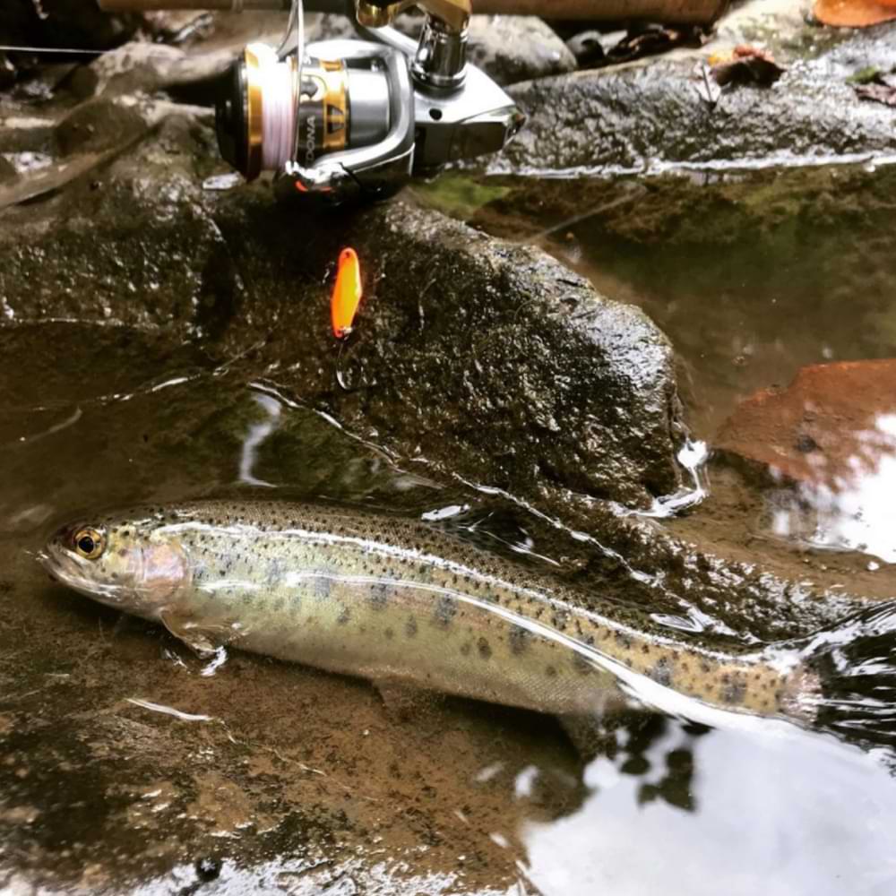 SHIMANO Cardiff Wobble Swimmer 1.5g