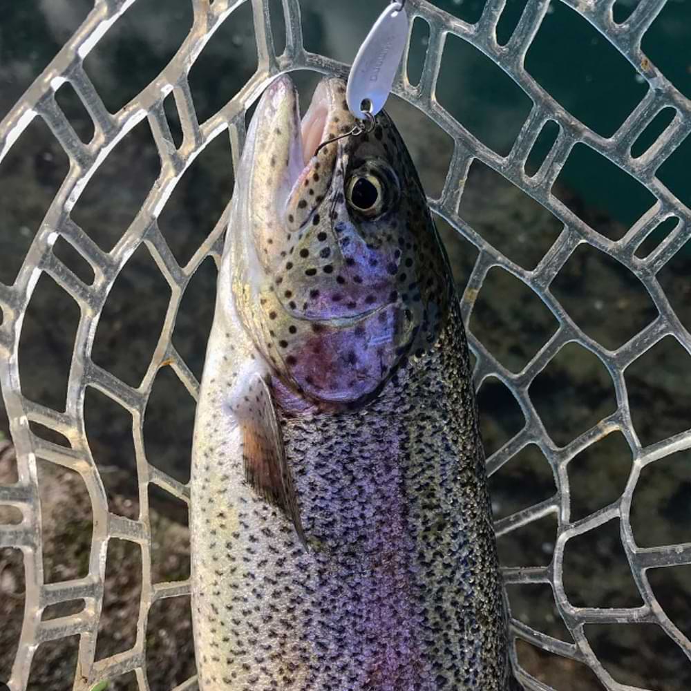 SHIMANO Cardiff Roll Swimmer 3.5g