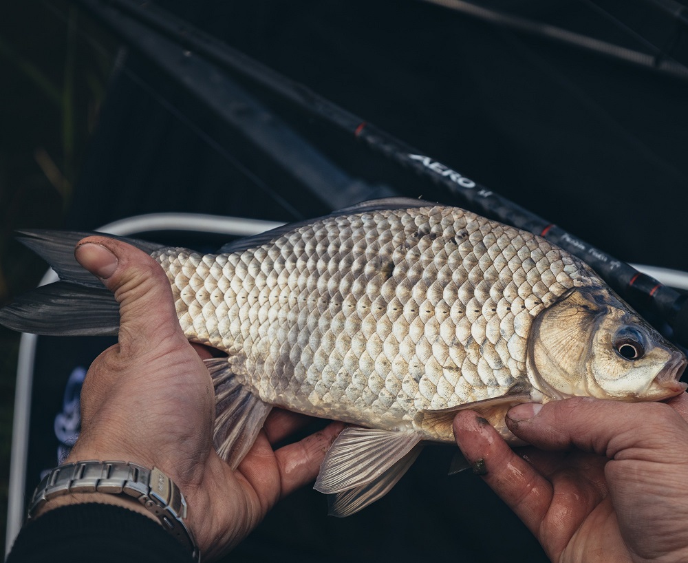 SHIMANO AERO X1 Precision Feeder 11ft 335cm 70g 3pcs