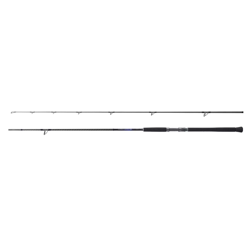 SHIMANO Currentsniper BB Shore Jigging S96M 290cm 60g