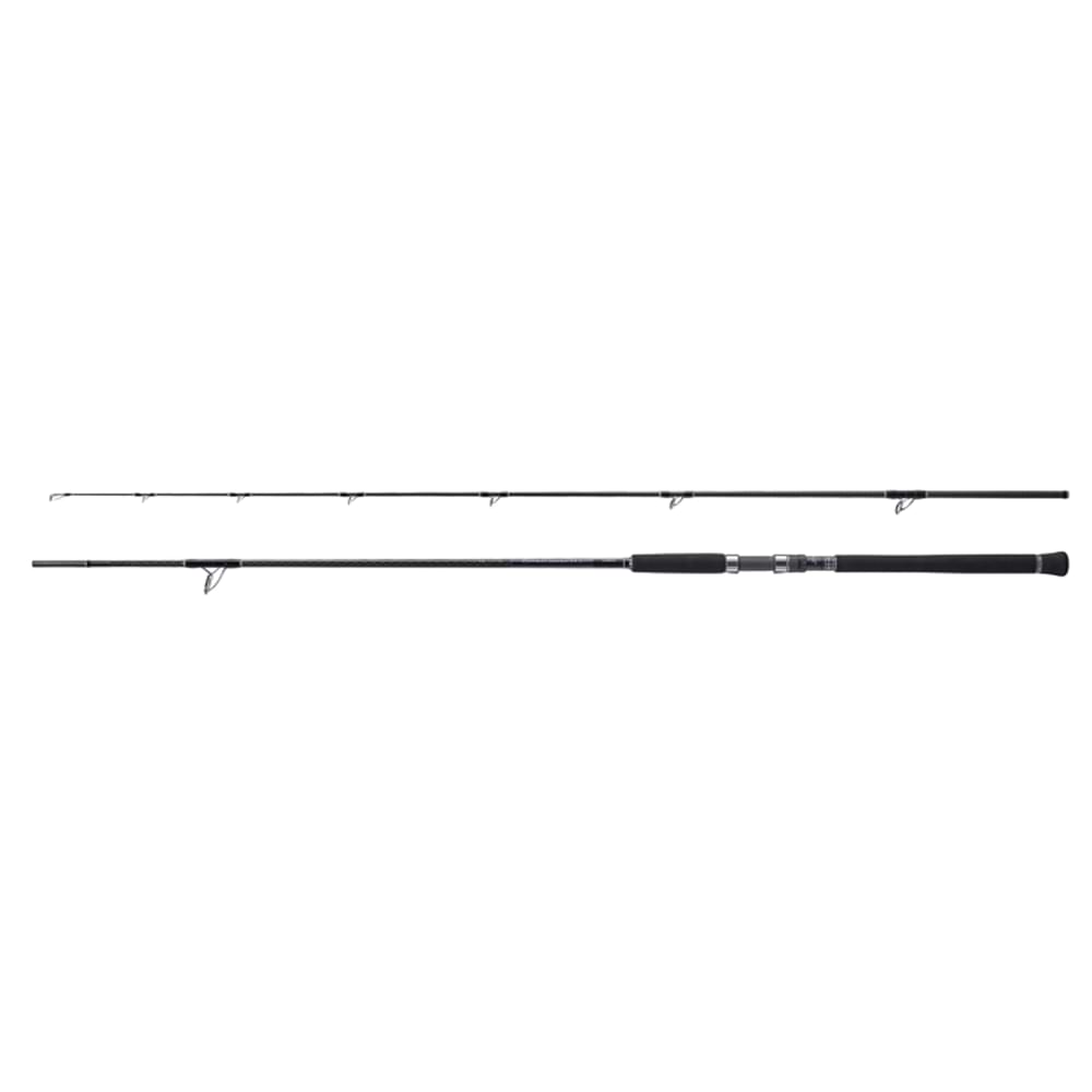 SHIMANO Currentsniper XR Shore Jigging S100H 305cm 120g