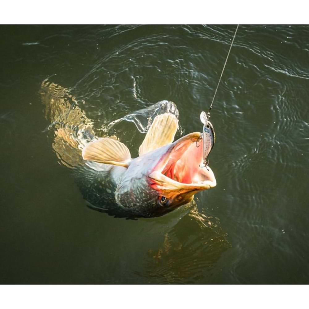 SHIMANO Yasei Trigger Twitch S 90mm 13g Sinking