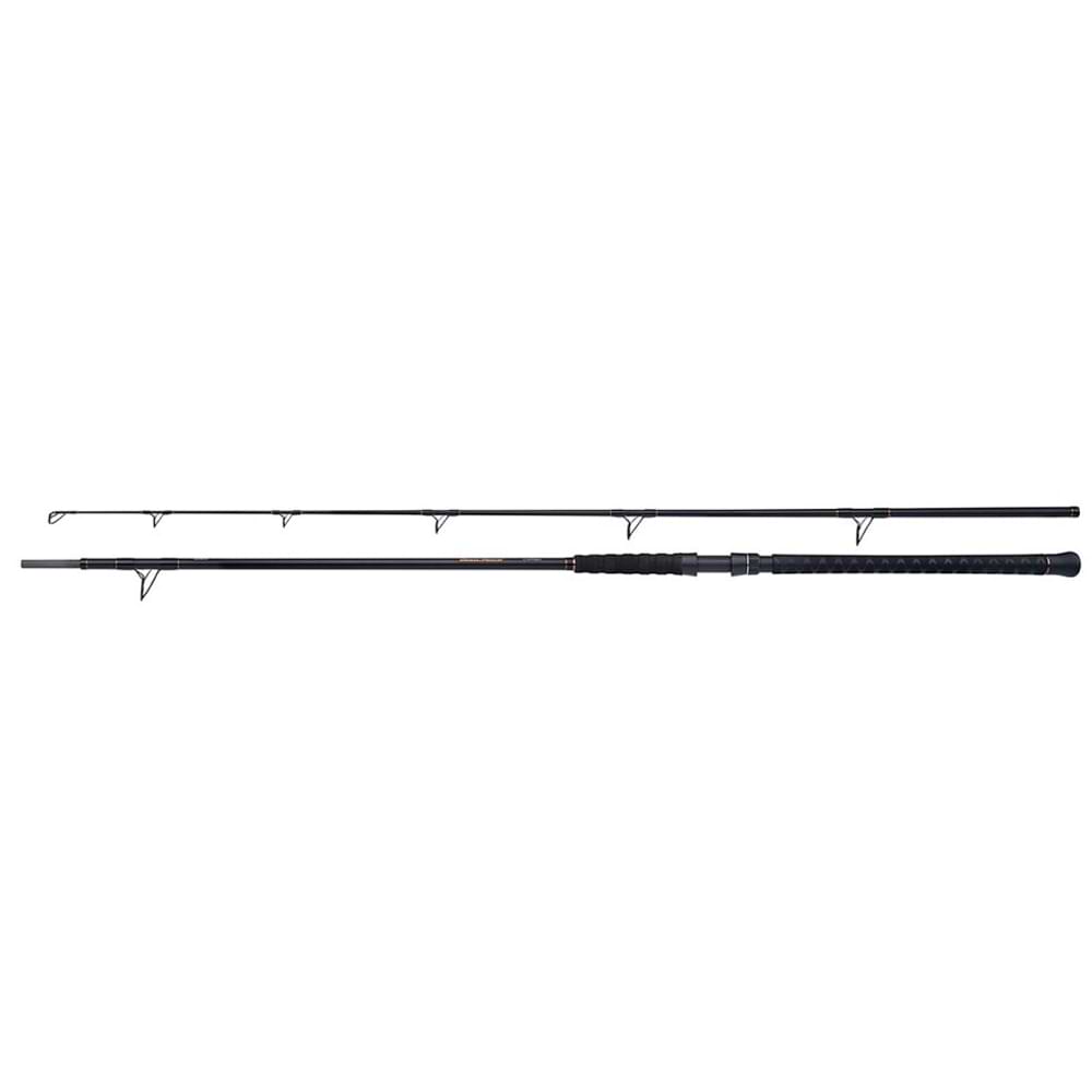 SHIMANO BeastMaster AX Catfish Static 300cm 400g