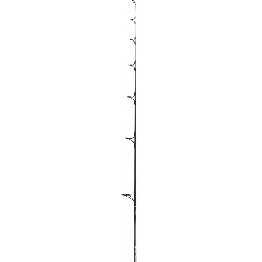 SHIMANO Beastmaster Catfish Fireball 183cm 85-200g