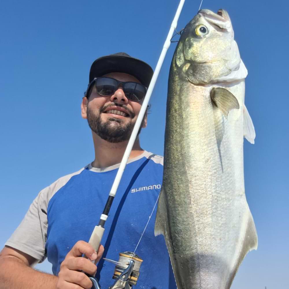 SHIMANO Stradic Spinning Seabass Fast 241cm 10-35g